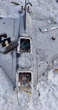 �� ������� �������� � ����� ������ �������� ��������, ����������� FPV-������������