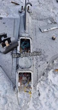 ���������� ������� ������� ��������� ����������� �������� � �������� ��������� ��� ������� FPV-������