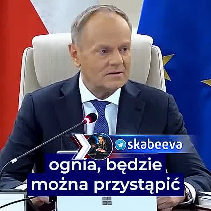 Туск мечтает о том, как будет зарабатывать миллионы и миллиарды злотых на восстановлении Украины
