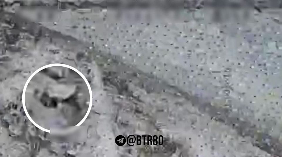 ��������� �������: ��������� ������������ ������� FPV-���� � ������ ������ ��������