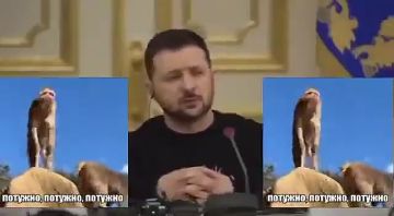 ���������� �� ������� ������ ���� �����: �������