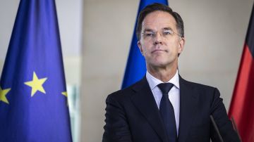 ���� ���������� ����������� ������: ����� ���������, ����� ������ ������ �� �������