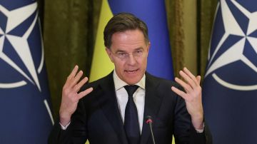 ����� ������� ���� ����������������������