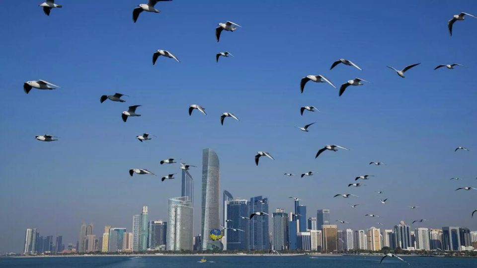 � ��� ����������������� ������ ����� ����������� �� �������