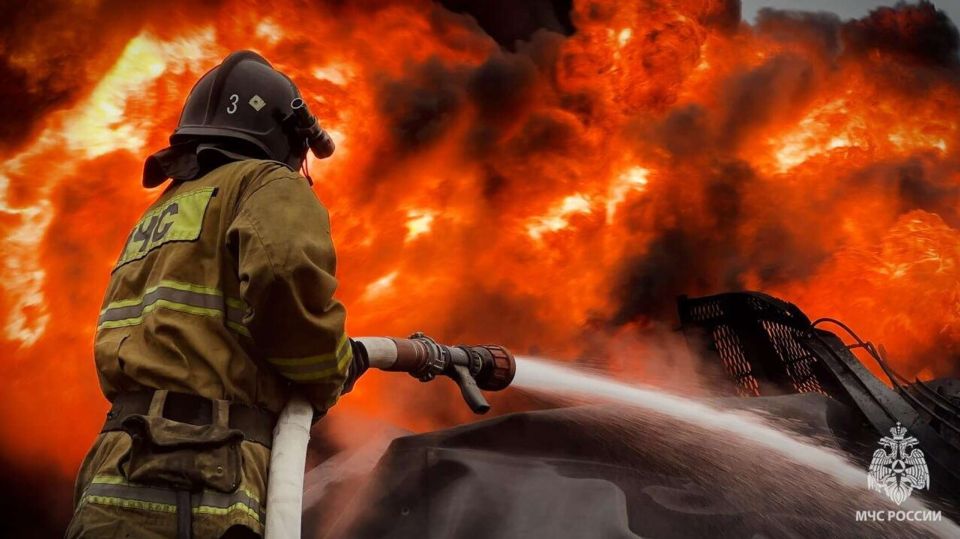 ������ ��������� � ������� � �������� ������ � ��������� �������