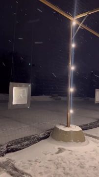 � ������ ����� ���������� "������� � ������������ ������": ����������� ����������� ����� ������ ���� ������ ������� (������ � ���� ������� ����������� ������)