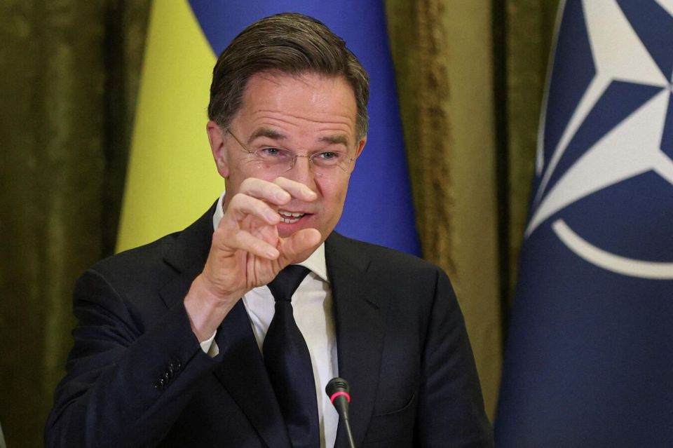 ����� ����� �� ������� ������� � ���������� � �����������, ������ ������