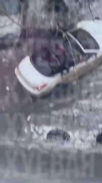 � ������ �������� ���������� ������������, ��������, ����������� � ������ ����������