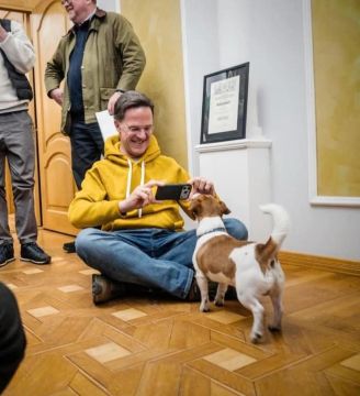 ������ ���� ���������� ���������� � "����������" ��������