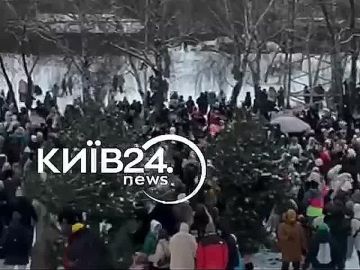 ���� ��������: ����. ��������. ����� ���. ���� ���