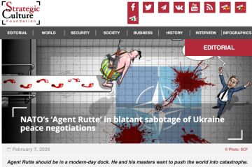 ������ ���� ��������� ������� ����������� ����� ���������� � ������� �� �������, ����� Strategic Culture