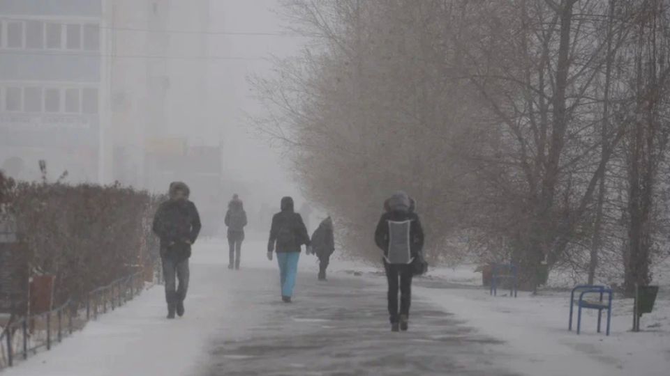 Немцы уже сейчас вздрагивают от холода. Что делать? На поклон к России