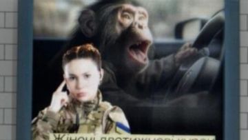 ������� ����� ������� ��������� ������