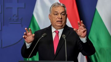 �����: ����������� ���������� �������, ������� ������� ������ � �����