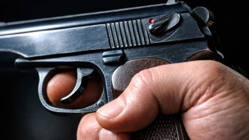 ������: ��� ������ �����, ���������� � �������� ���������. ������ � ��������������