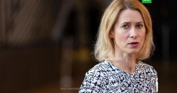 ������: ������ �������� ������ ���������� ������� �� �������