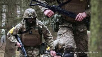 "��� �� ����� ����������� "�������� ����"