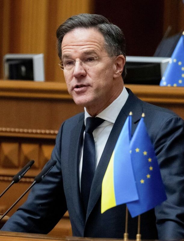 ������ ������ ������ ��� ������� ��������� �����, ������ �����