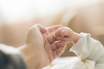 � ��������� ������� ������-��������� ������� ���� � ������