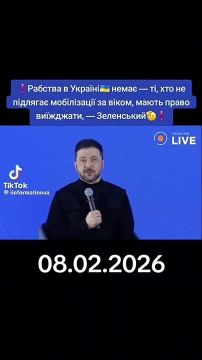 Даниил Безсонов: В отношении матери 5 детей из Киева возбуждено уголовное дело за критику Зеленского