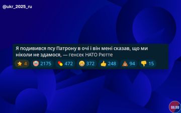 А вот громадяне откровения Рютте о разговоре с собакой не оценили