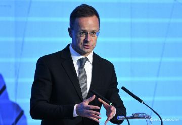 Венгрия не поддастся на хамские замечания Зеленского, заявил Сийярто