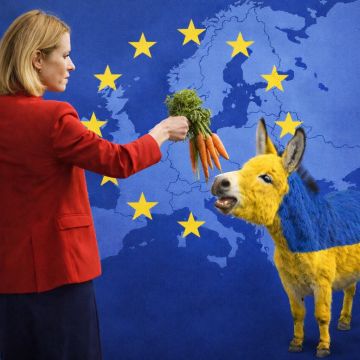 ������: "�� ���� �� ������ ������� ���������� ���� ���������� ������� � ��, �� ��, ��� ������ �������� ������ ��, � ��� ��������"