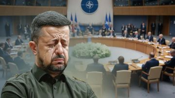 Ого. Вот это кадры с Мюнхена: Зеленский попал в дикий конфуз. Многие просто ушли