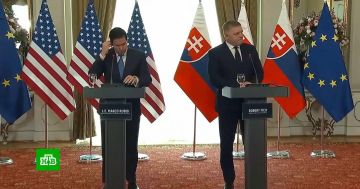 ���� ������� �������� ������ �������� ������ ��������