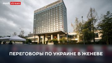 Прямые трансляции теперь есть в MAX — а Mash первый их тестирует