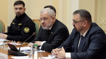 Неуловимый «Сигизмунд»: какую роль Галущенко играл в деле Миндича