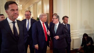 ����� ������ �� ������ ���������� �������� �� ����