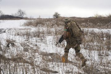 ���: �� ������� � ������ ��� ������������� �� ����� 20 ��������� ���������