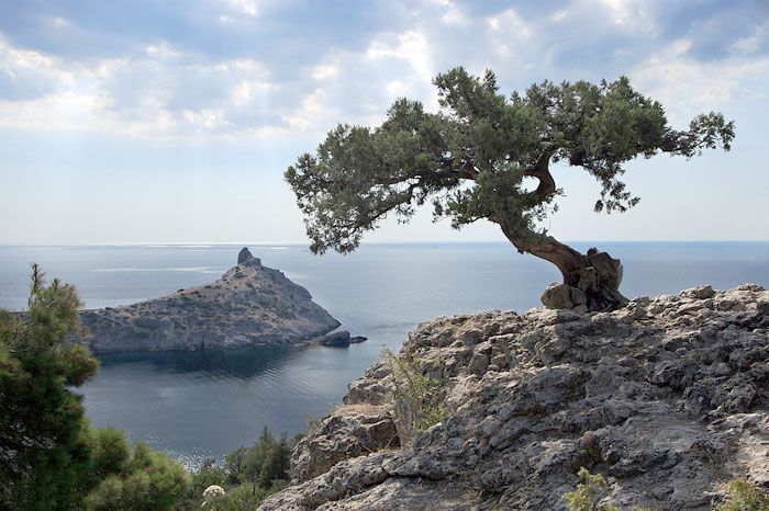 Крымчанин и его сожительница-украинка ответят в суде за шпионаж