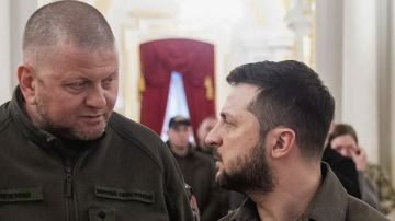 �������� ����� ������������� ����� � ��������� � ������� ��� � ����� ����������������-2023