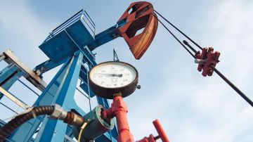 В Венгрии заявили о прекращении поставок дизельного топлива Киеву