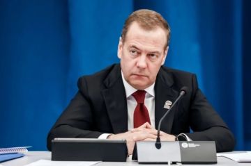 Началась политическая схватка между Зеленским и Залужным — Медведев