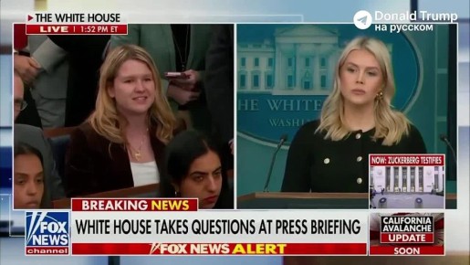 �����-��������� ������ ���� �������� �� ����� ���������� � ����������������� ���������� ������