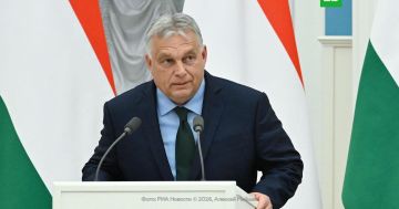  ������� �������, ��� ����� ���������� �������� ���� �������������� �������