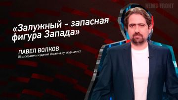 Мнение: «Залужный – запасная фигура Запада», – Павел Волков