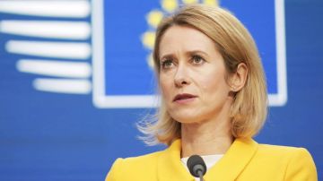 ������ ����� ������ ������� �� ������� ������