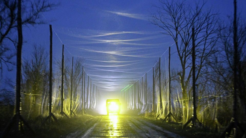 �� ������� ����� �������� �����: �������� "�������" �������� ������ �� 25% �� ���� �������������