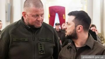 �������� ����� ����� �����������