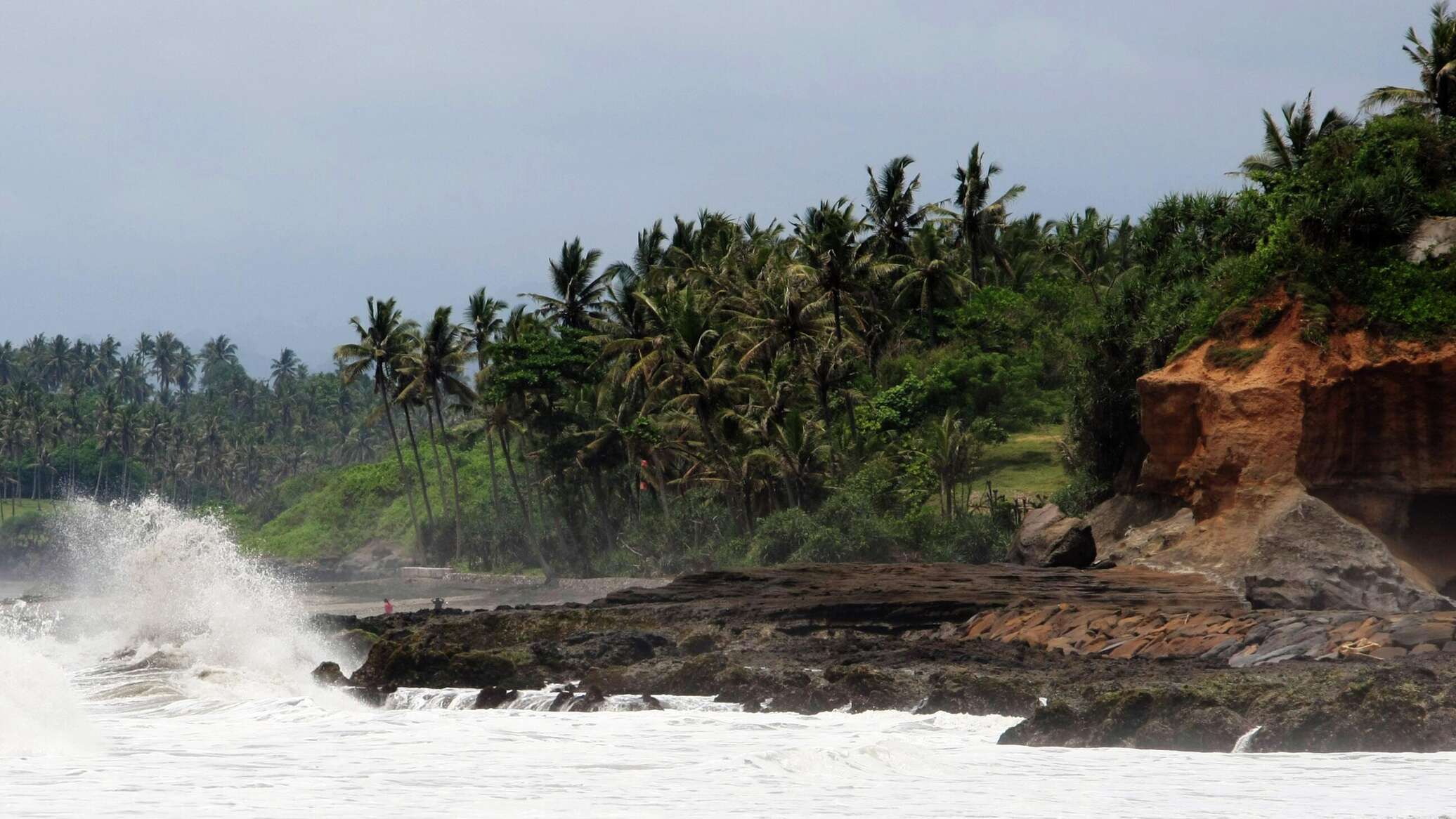 Майор ВСУ заработал на участок на Бали испорченными овощами для военных