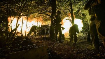 ������� ���: ���� ������� ��� 1265 �������� �� �����