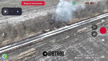 Украинские нацгвардейцы после встречи с "птичкой" остались без миномёта