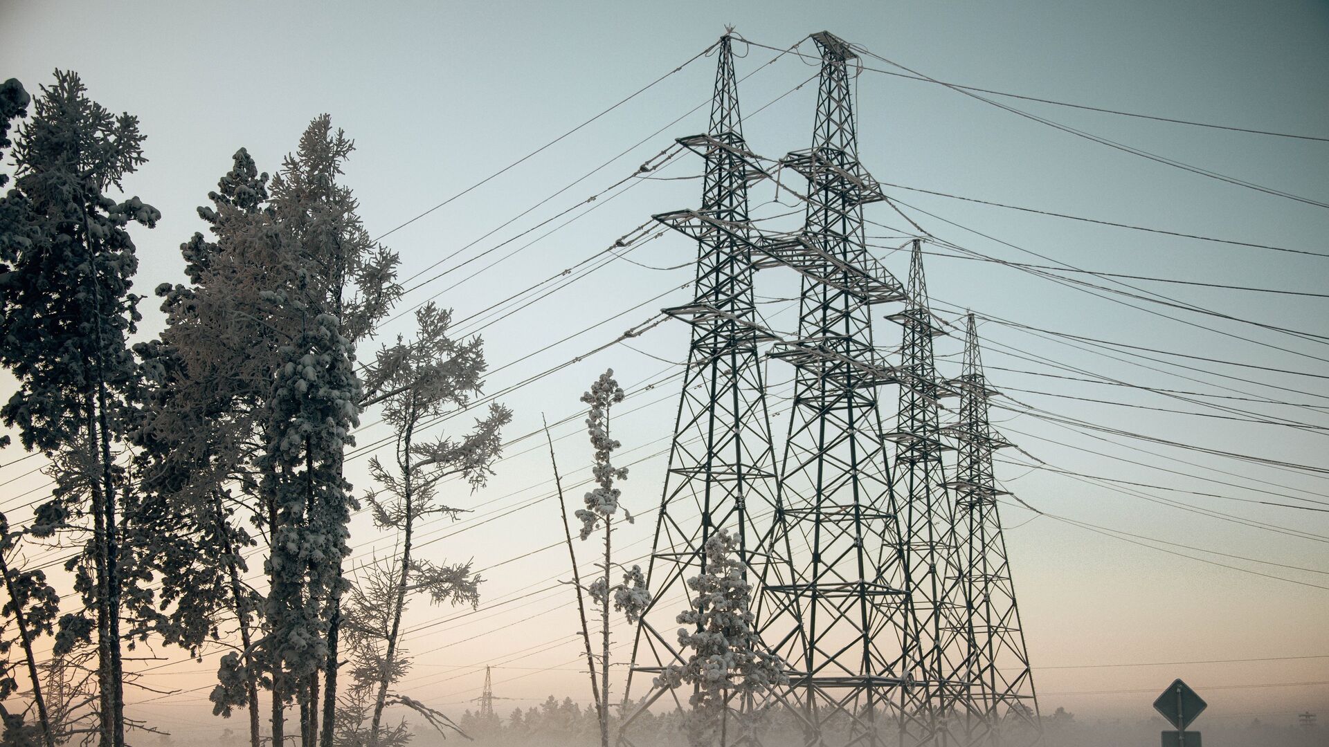 Ультиматум Венгрии и Словакии. Итоги 21 февраля