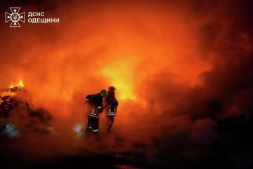 "������ ��������". ������������ �� ������� ������� ��������� �� ������