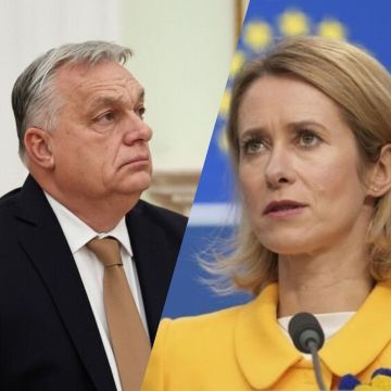 ����� ������� ������, ������� ������������ �� ������ ������� � �� ��� �������: