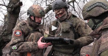 «Это многомесячная ложь»: почему Киев не признает потерю земель